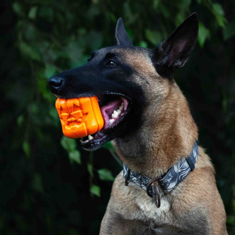 Jack O' Lantern eDispener Durable Rubber Chew Toy & Treat Dispenser