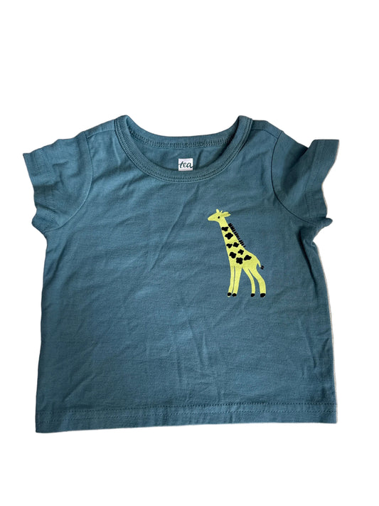 3-6m tea NWT