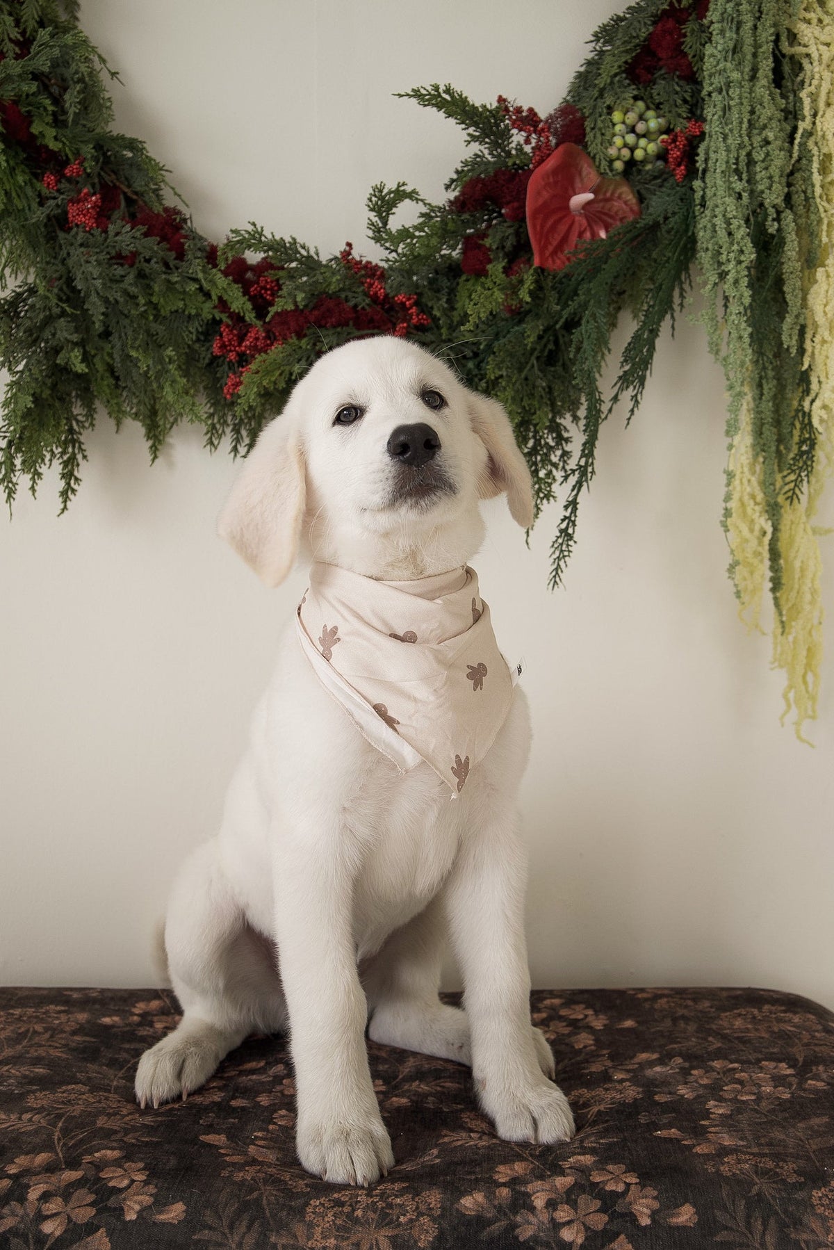 Bamboo Bandana | Gingersnap