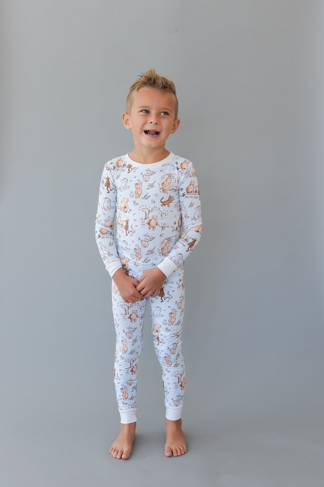 Silly Old Bear - Set