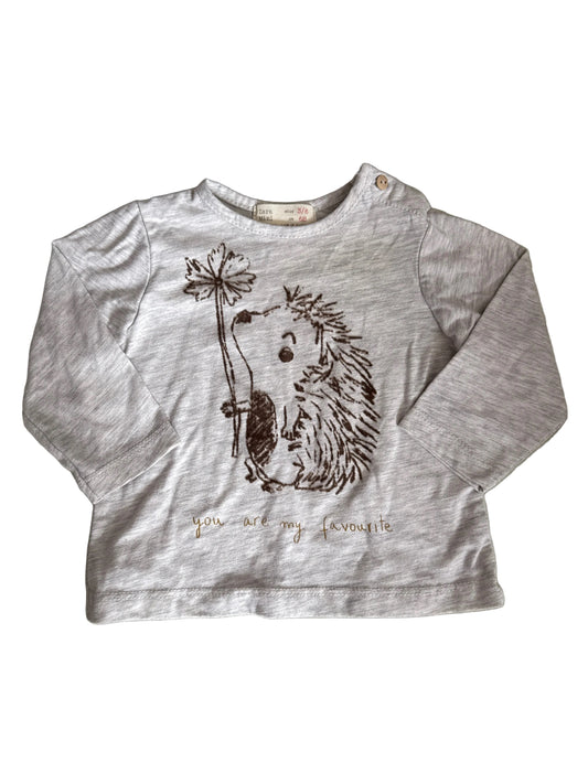 3-6m Zara EUC