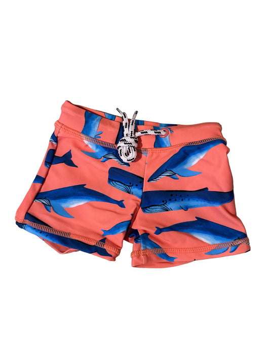 6-12m swim: Snapper Rock NWOT