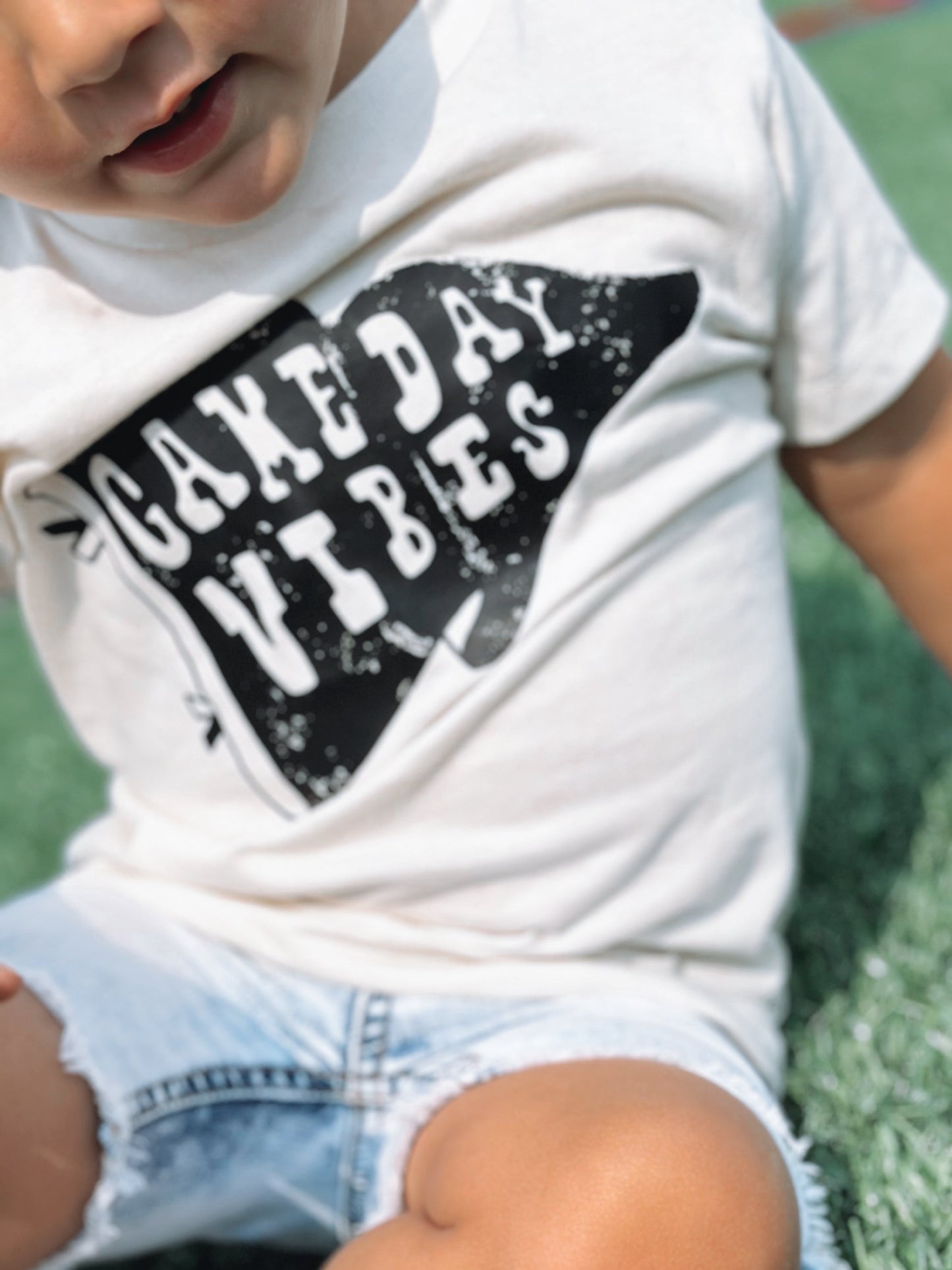 Game Day Vibes Flag - Graphic Tee
