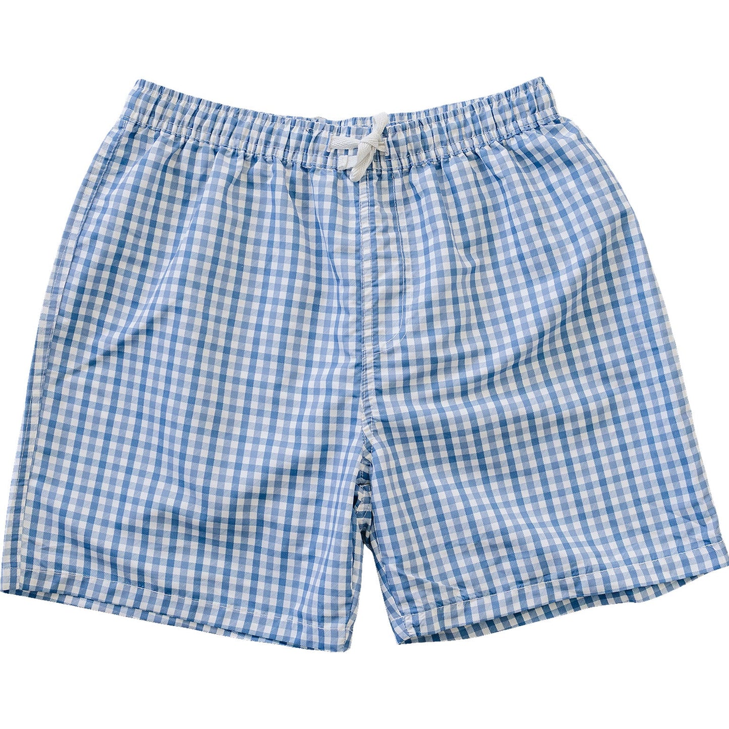 Light Blue Gingham Adult Men's Swim Shorts