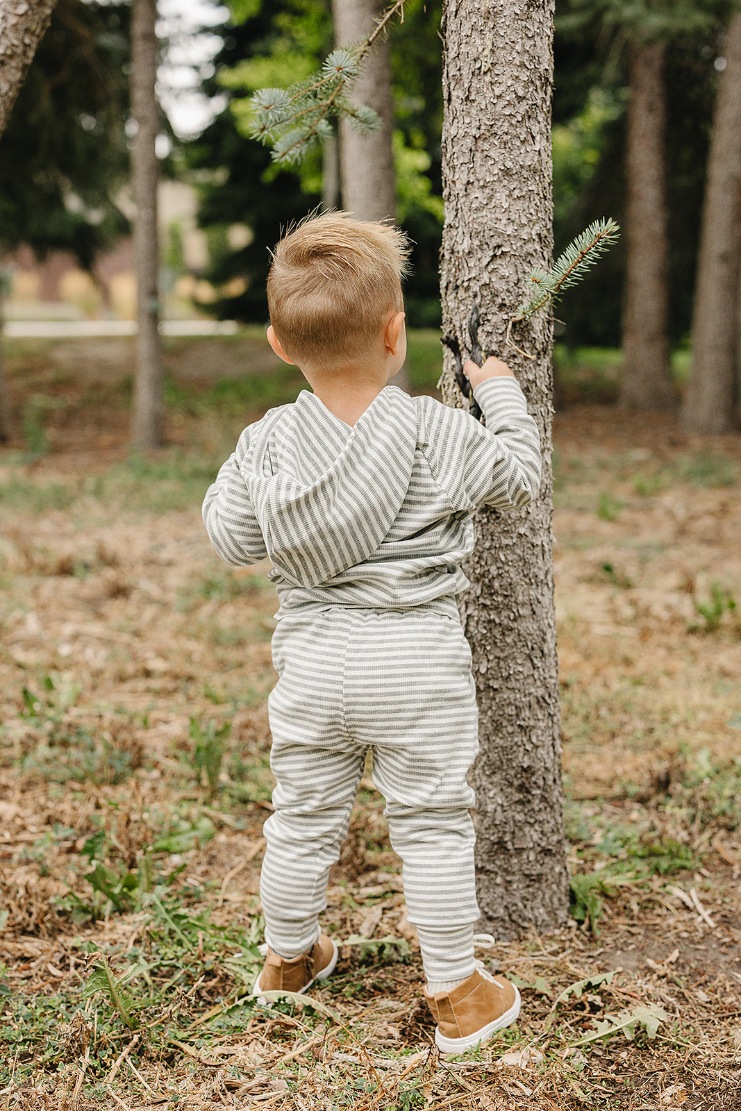 Grey Striped Hooded Set